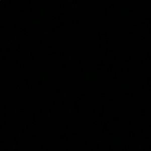 Meet your Posher, Violeta